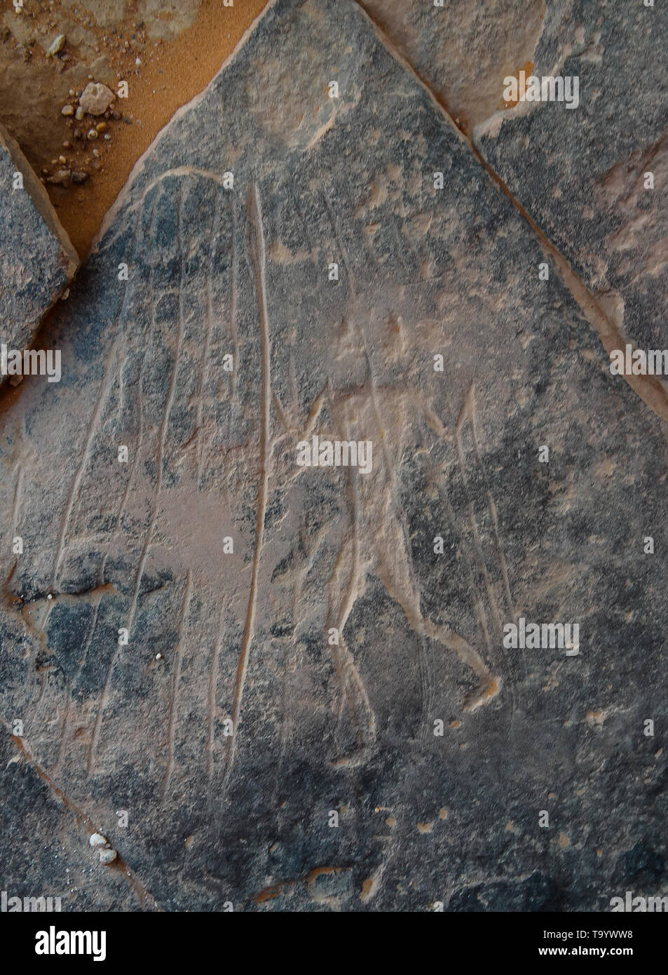 man - Cave paintings and petroglyphs at Tamezguida Tassili nAjjer national park, Algeria Stock Photo