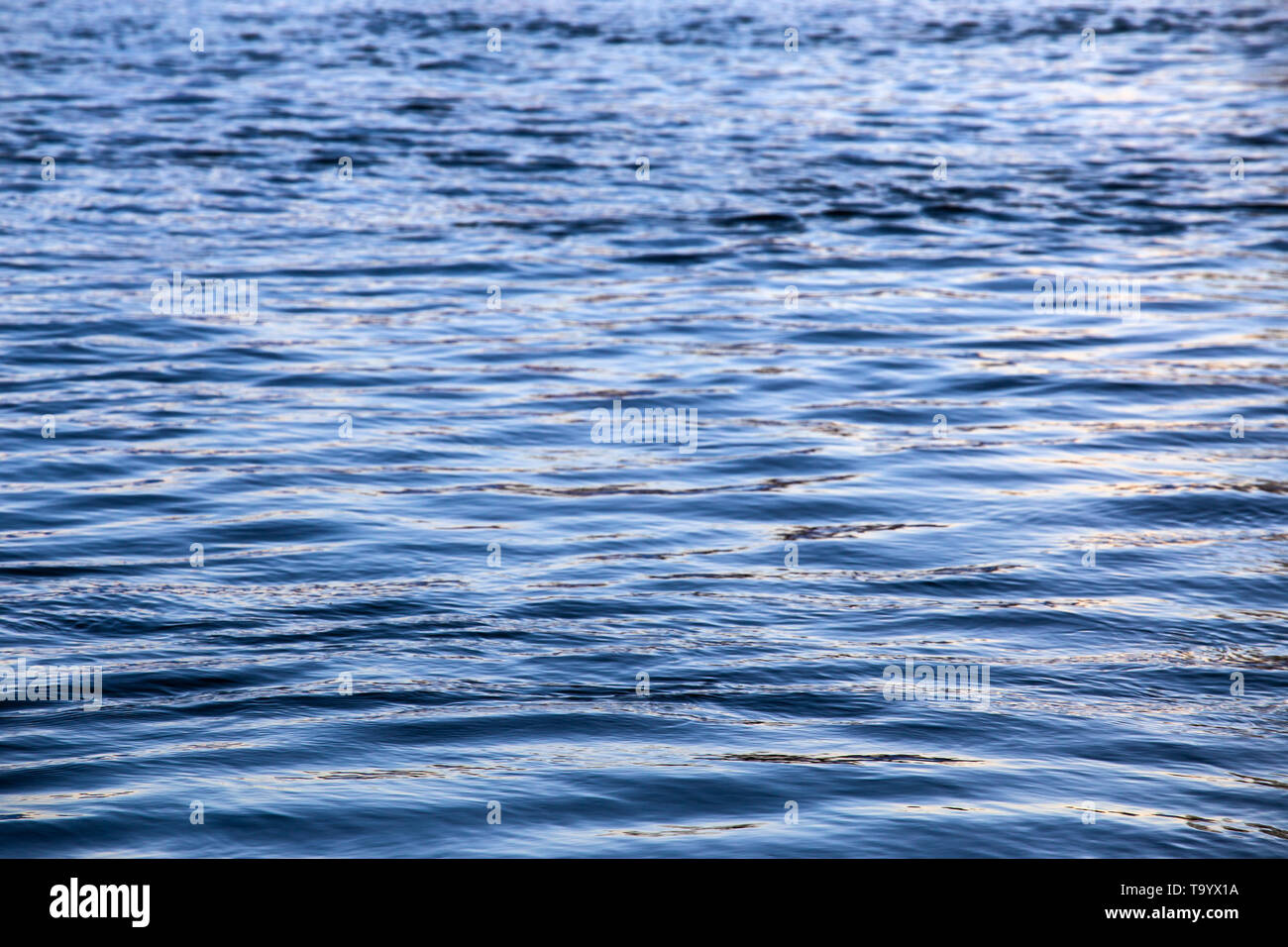 abstract water surface closeup with small plain ripples and selective focus. Stock Photo