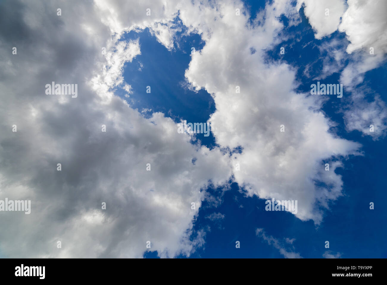 Regular spring clouds on blue sky at daylight in continental europe. Upward shot with wide angle lens without any filter. Stock Photo