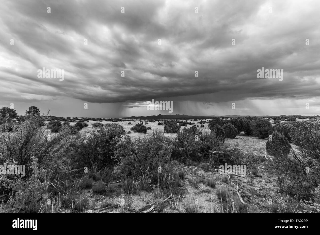An isolated area of Prescott, AZ with a storm brewing in the distance