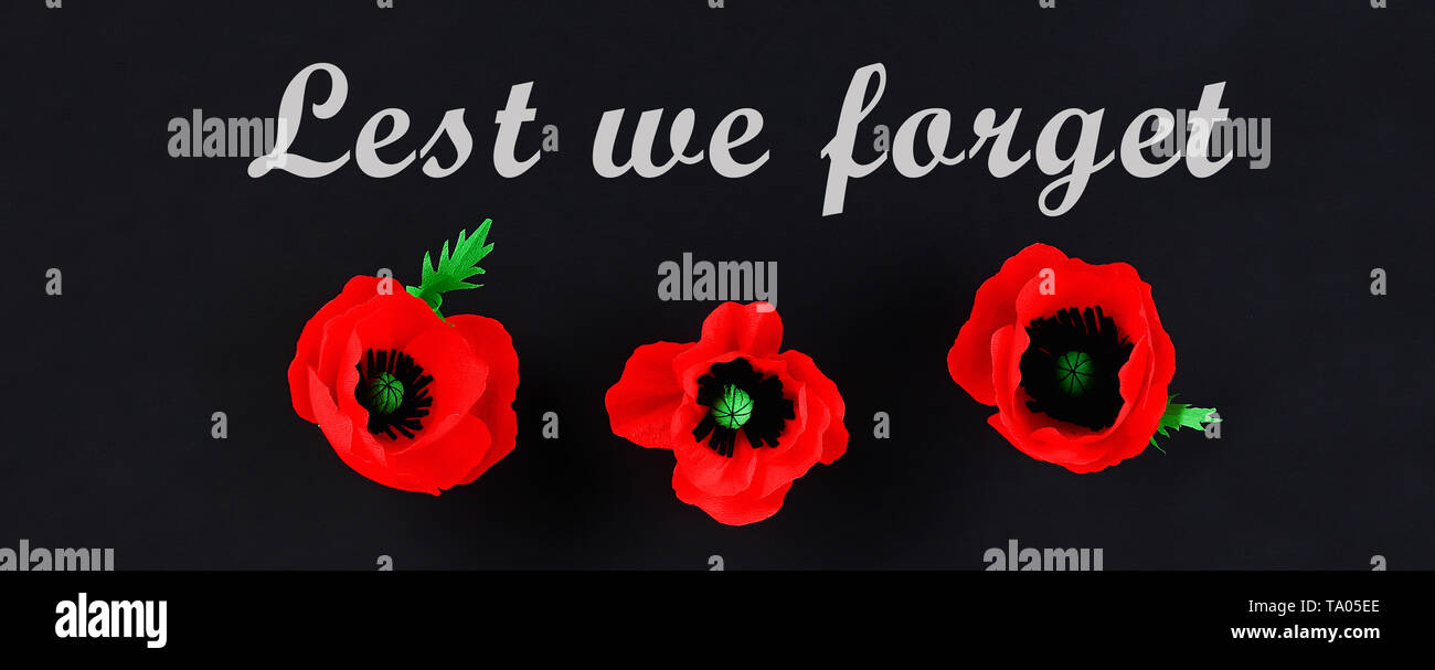 Diy Paper Red Poppy Anzac Day Remembrance Remember Memorial Day Made Of Crepe Paper On Black Background Symbol War Gift Idea Decor Copy Space Stock Photo Alamy Diy Paper Red Poppy Anzac Day Remembrance Remember Memorial Day Made Of Crepe Paper On Black Background Symbol War Gift Idea Decor Copy Space Stock Photo Alamy