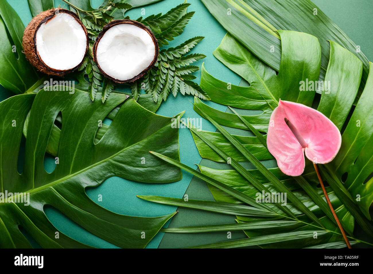 Coconut Flower Blossom High Resolution Stock Photography and Images - Alamy