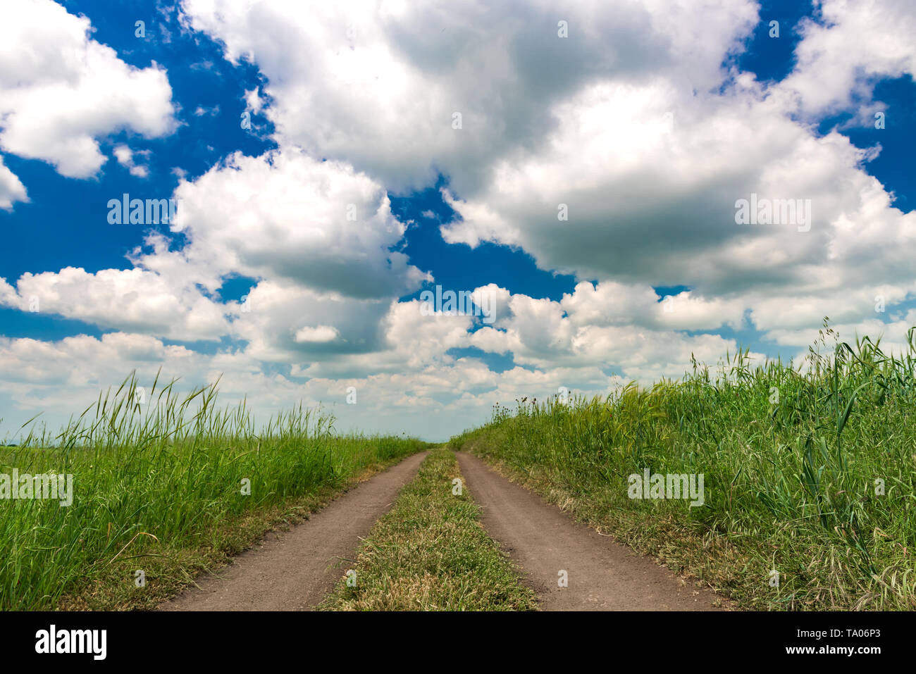 Rural road between agricultural hi res stock photography and images Alamy