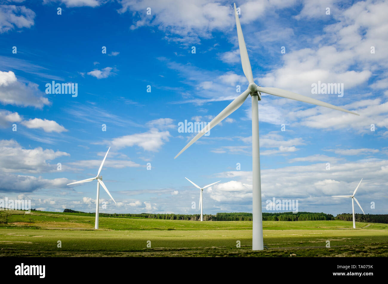 View of a wind farm in northumberland, UK, under blue sky with clouds on a spring day Stock Photo