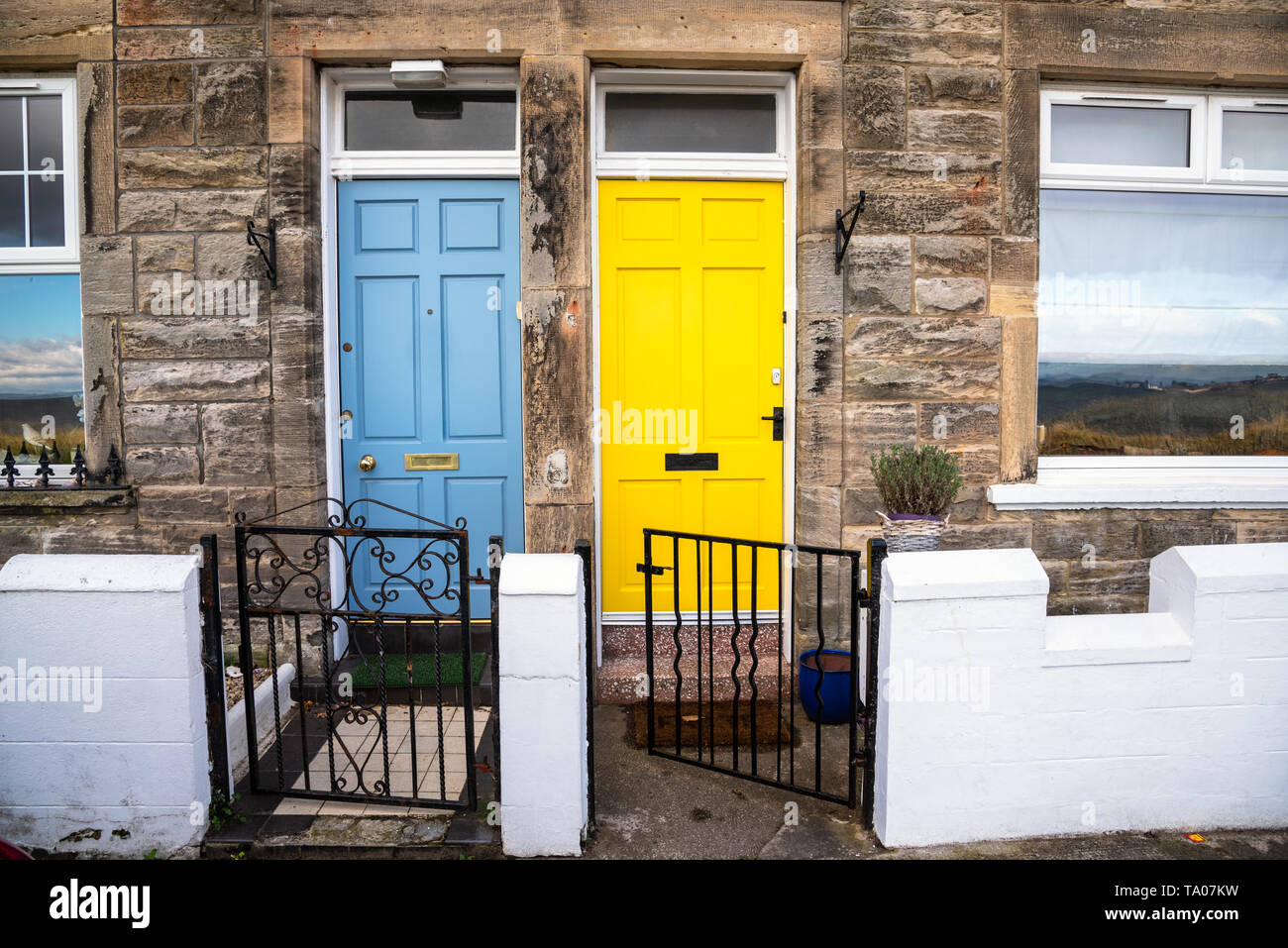 Colourful Wooden Front Doors of two traditional British Terraced Houses. One Door is Light Blue while the other is Bright Yellow. Stock Photo