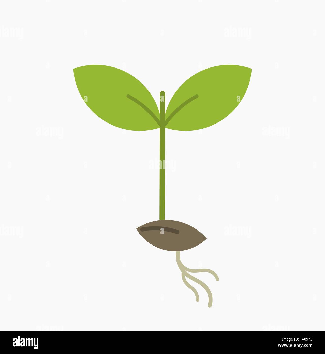 Little plant seedling icon. Vector illustration Stock Vector Image & Art -  Alamy