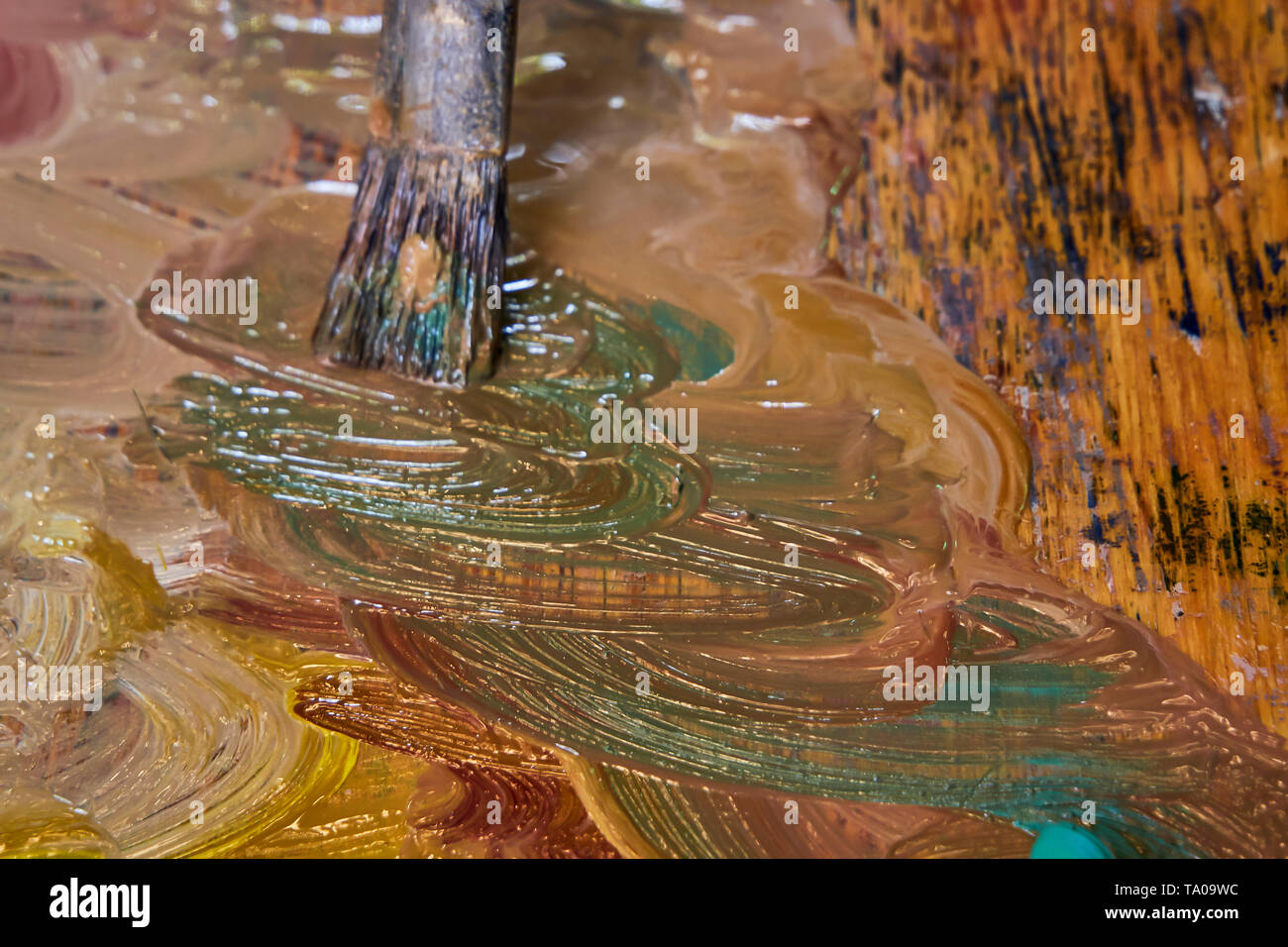 the artist's palette
