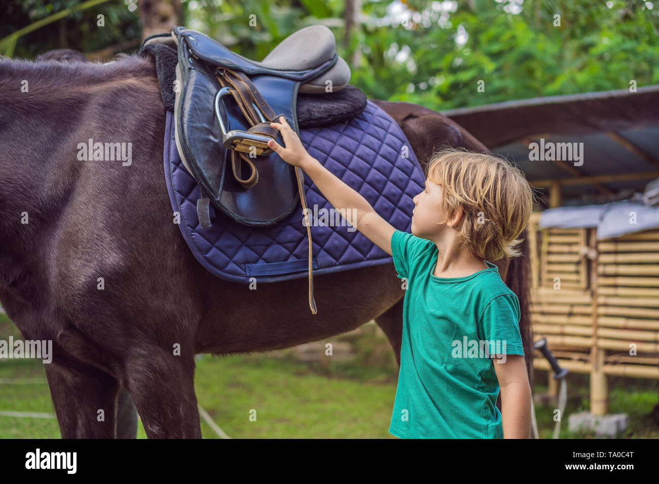 Boy horseback riding, performing exercises on horseback Stock Photo Alamy