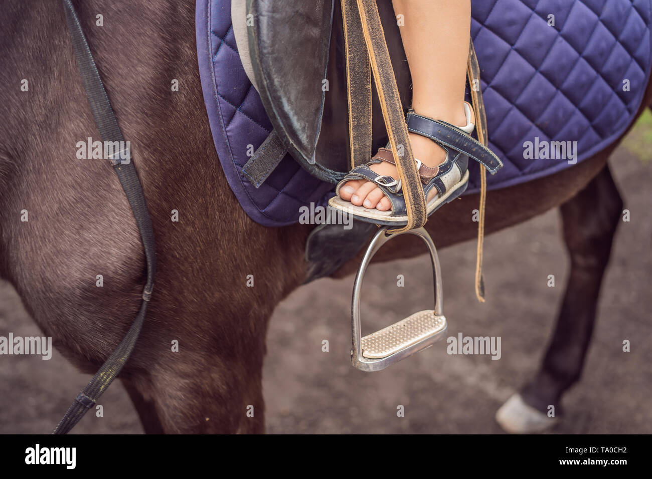 Boy horseback riding, performing exercises on horseback Stock Photo Alamy