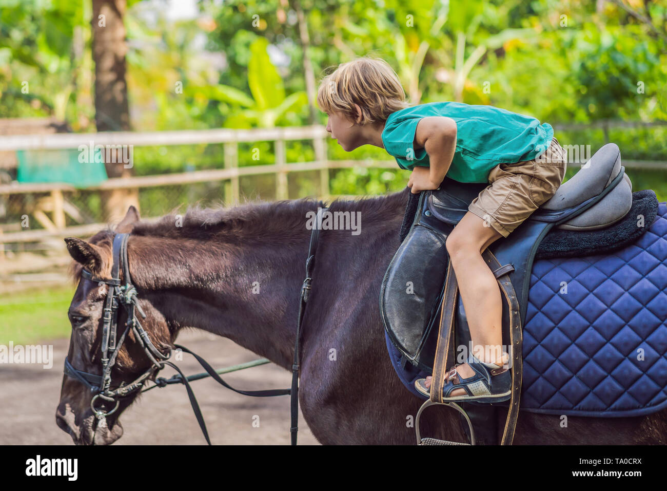 Boy horseback riding, performing exercises on horseback Stock Photo Alamy
