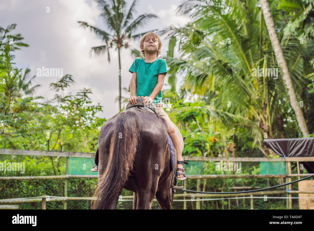 Boy horseback riding, performing exercises on horseback Stock Photo Alamy