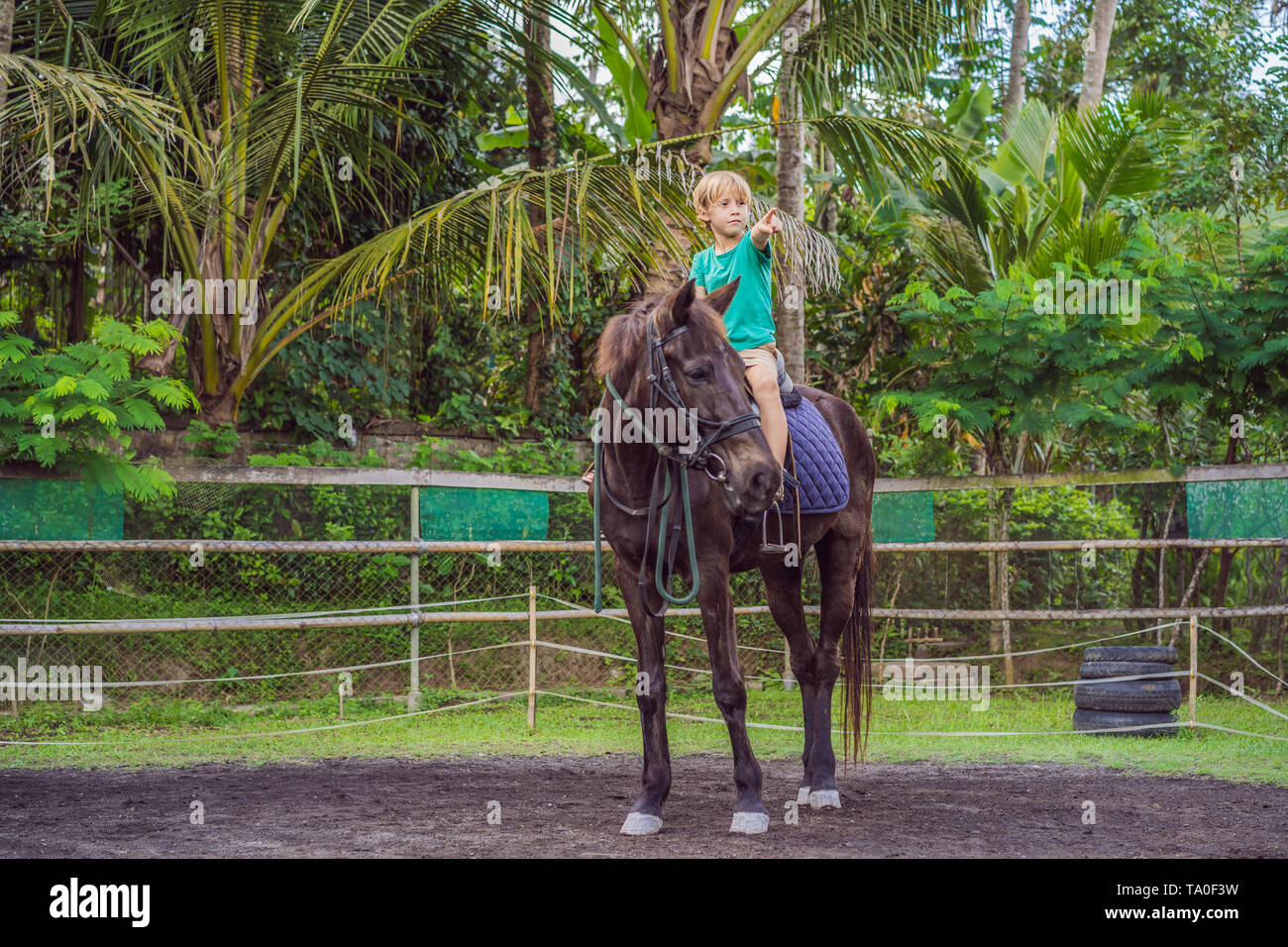 Boy horseback riding, performing exercises on horseback Stock Photo Alamy