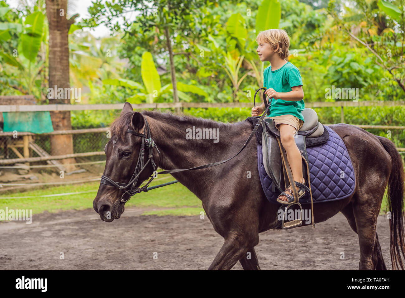 Boy horseback riding, performing exercises on horseback Stock Photo Alamy
