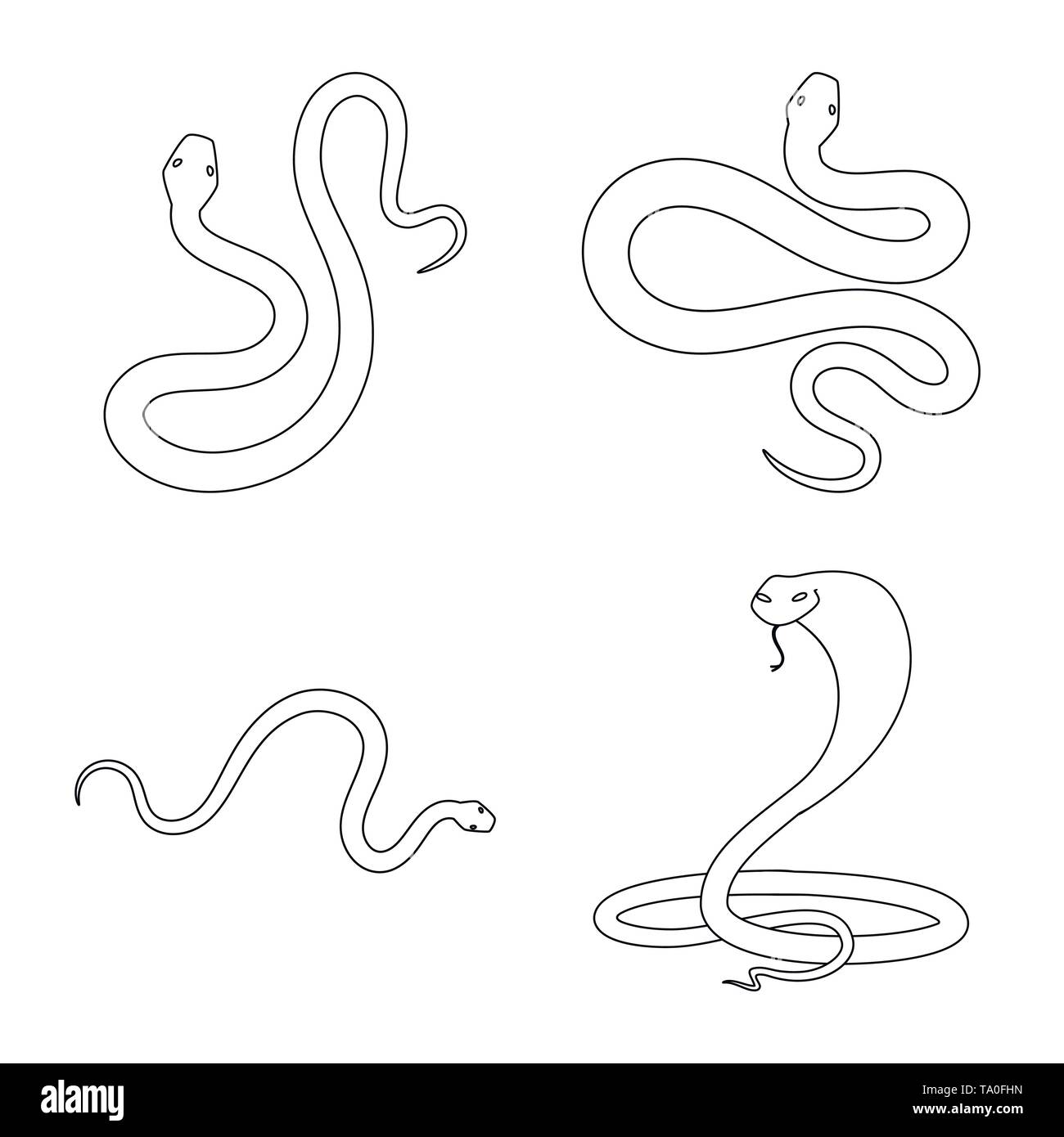 snake,amphibian,animal,cobra,tail,anaconda,creeping,blue,tropics,gray ...