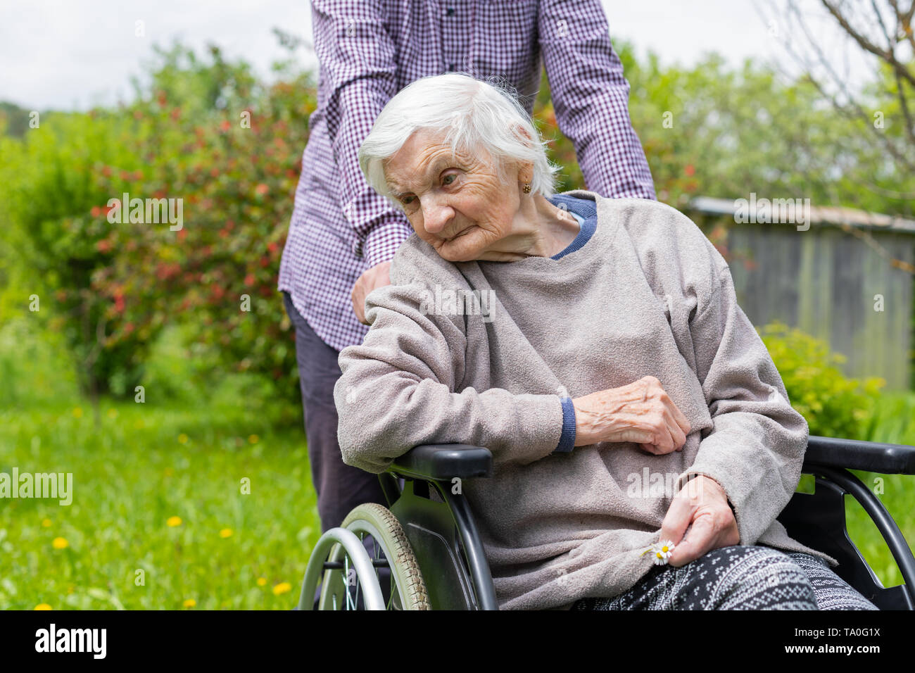 Old lady with severe dementia sitting in a wheelchair, spending time outdoor with carer Stock Photo