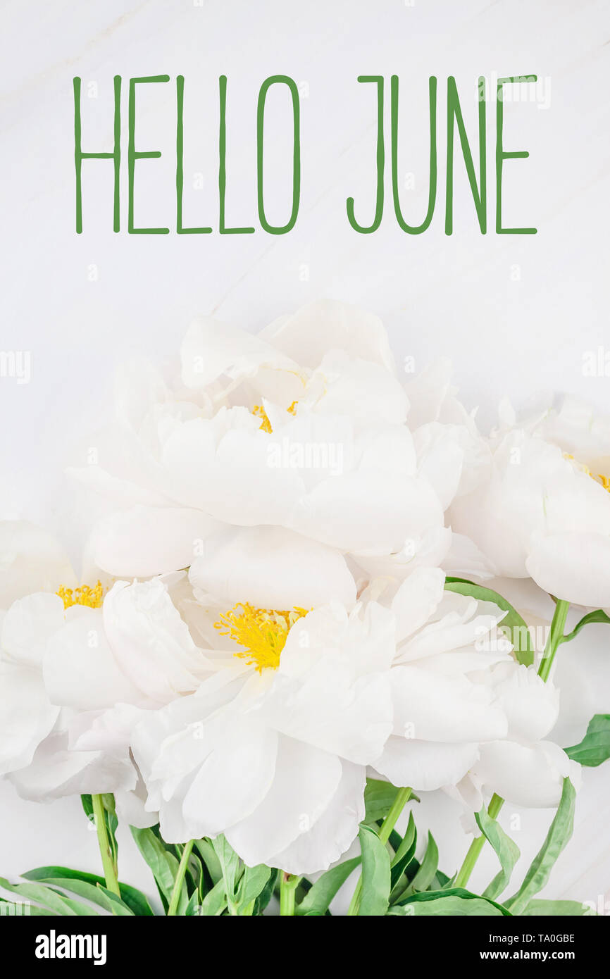 Beautiful blooming white peony flowers on marble background with Hello June  text message for postcard or social nets. Wedding invitation and celebrati  Stock Photo - Alamy, image size:866x1390