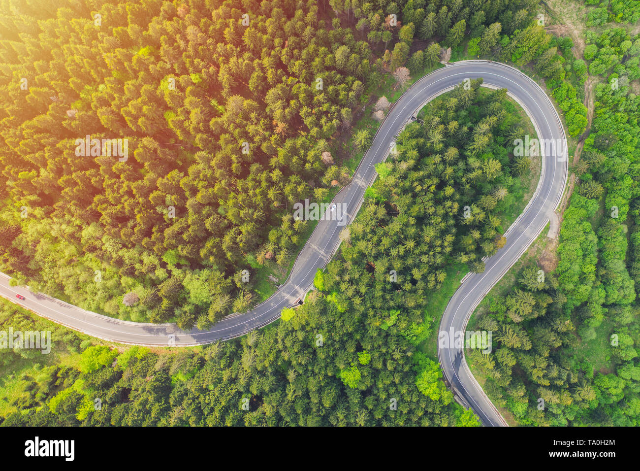 Aerial view of a forest road passing through a fir trees forest Stock ...