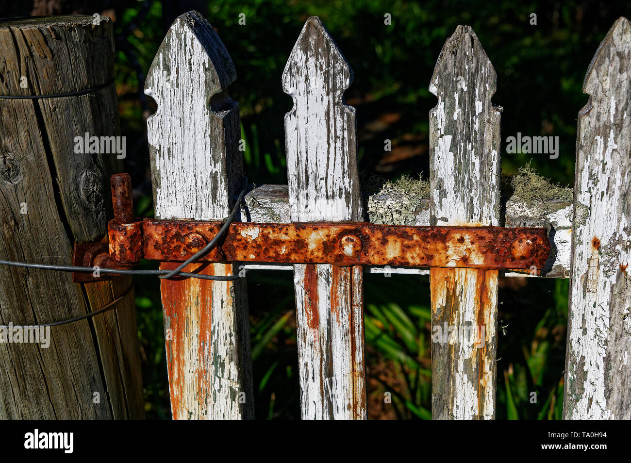 A white picket fence with a rusty red hinge Stock Photo