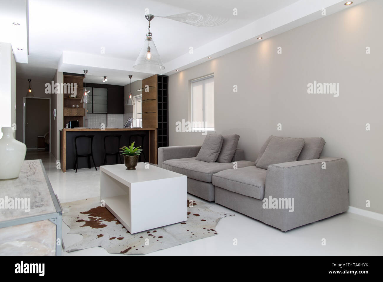 A Modern And Small Yet Luxurious Living Room Setup In A Small Apartment Stock Photo Alamy
