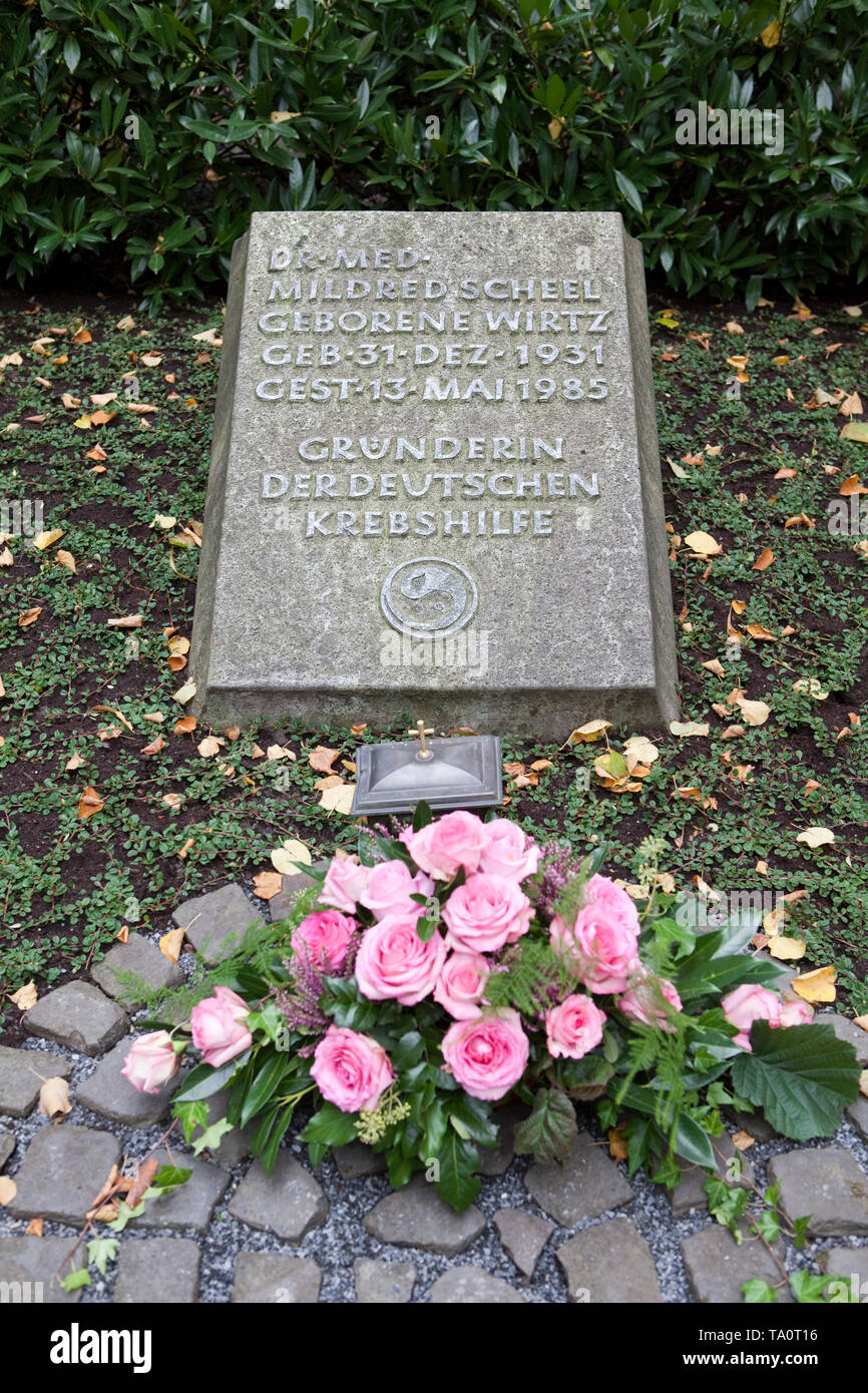 The Tomb of Mildred Scheel, Alter Friedhof cemetery, Bonn, North Rhine-Westphalia, Germany, Europe Stock Photo