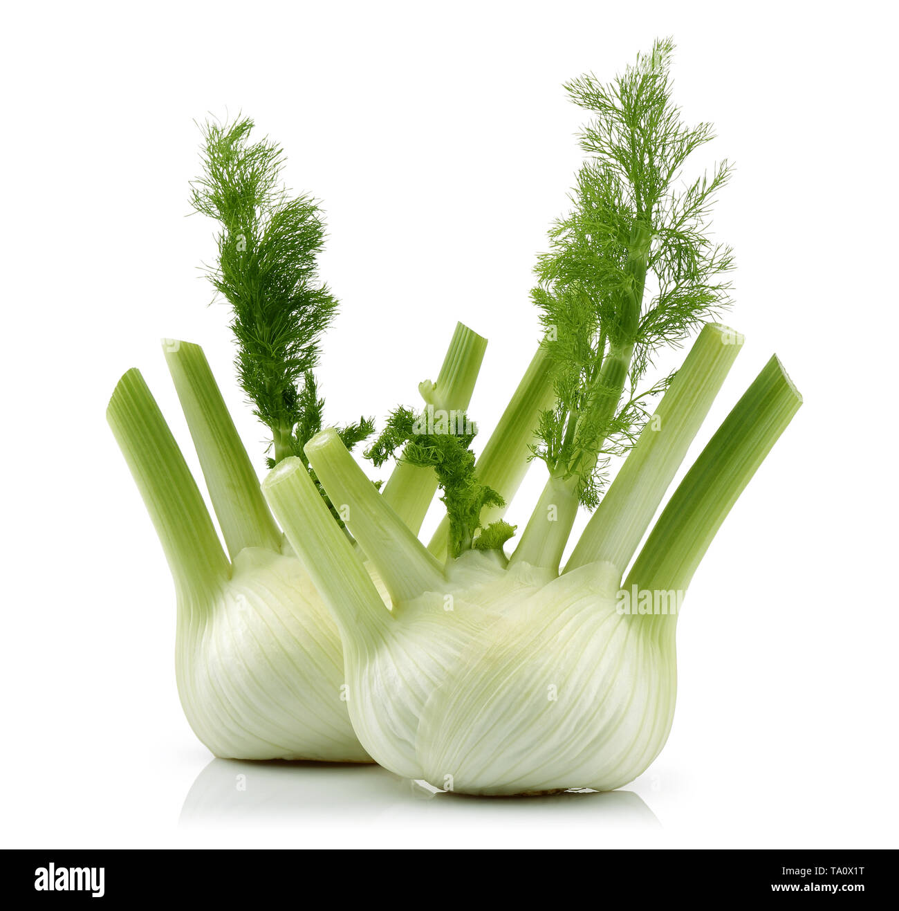 Fresh fennel bulb isolated on white background Stock Photo Alamy