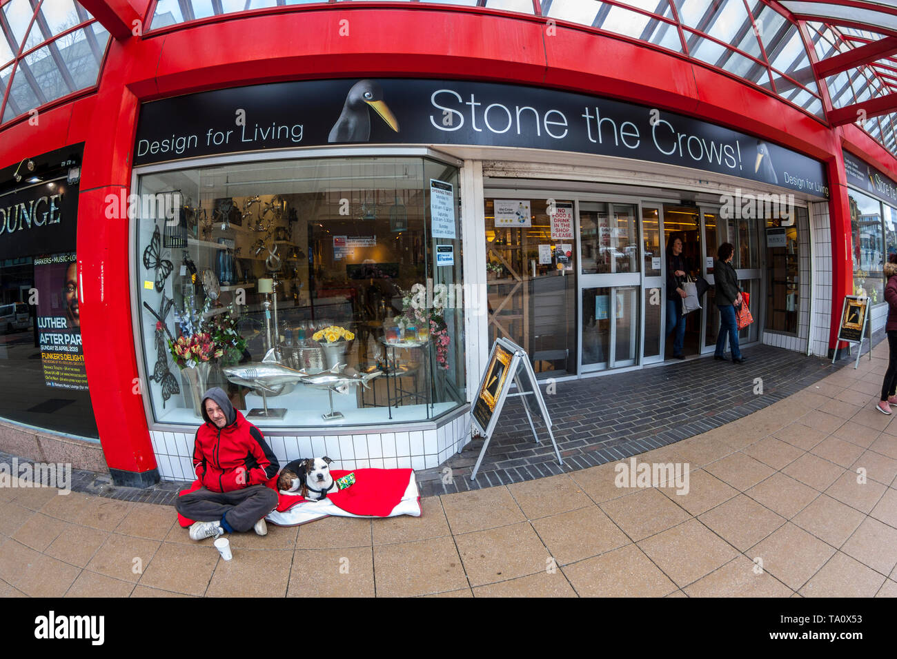 Stone the Crows retail store, fisheye view Stock Photo