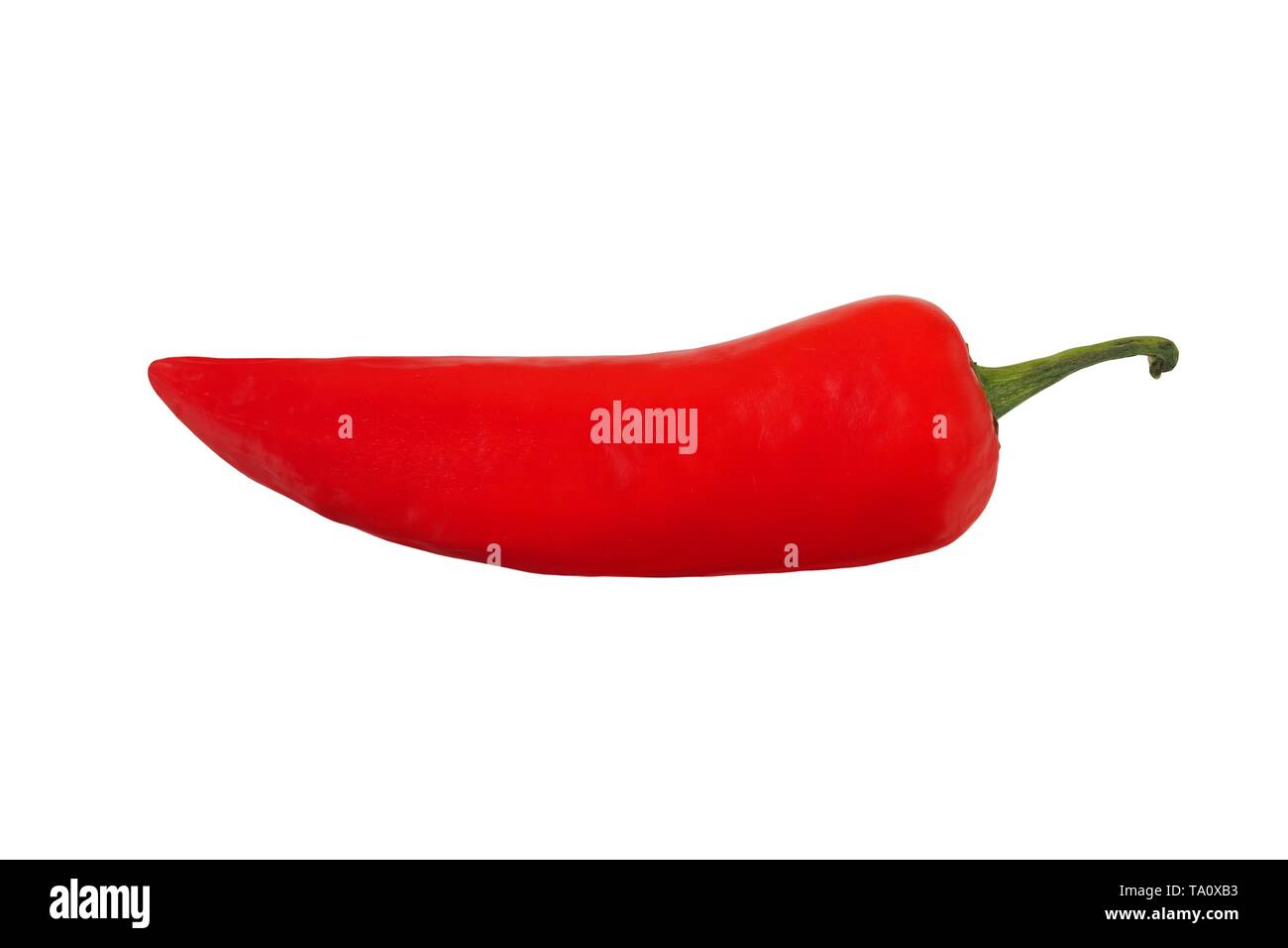 Red hot chili pepper isolated on white background Stock Photo - Alamy
