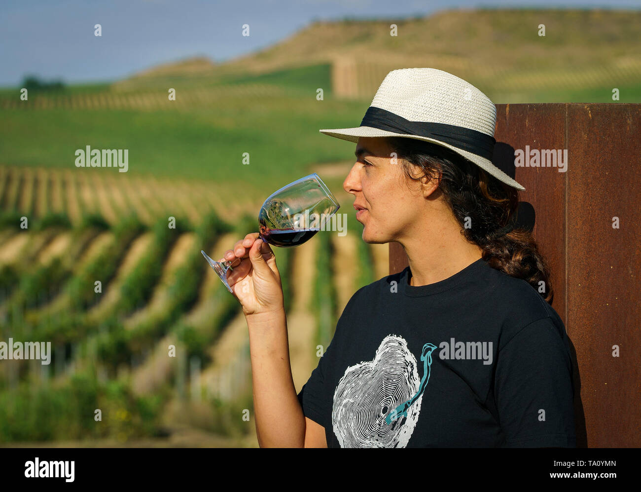 Wine tasting in Pagos de Araiz vineyard. Olite. Navarre. Spain Stock