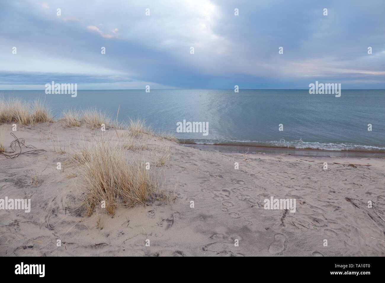 Motion blurred photo of a Great Lakes beach on a windy evening Stock Photo