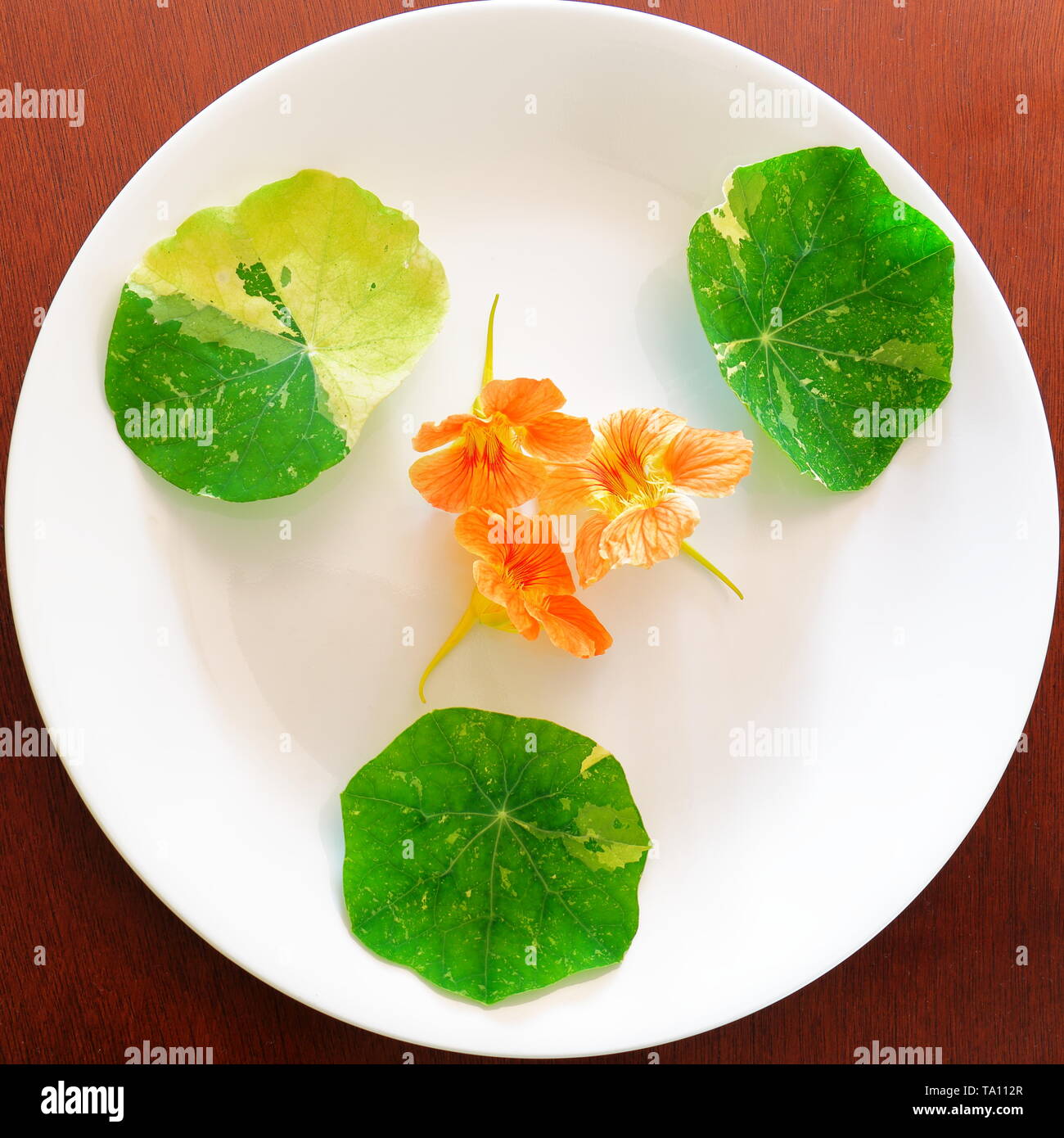 Trio Of Nasturtium Leaves Placed At The 10 2 And 6 O Clock Positions On The Plate And A Trio Of Nasturtium Flowers In The Center Of The Plate Stock Photo Alamy