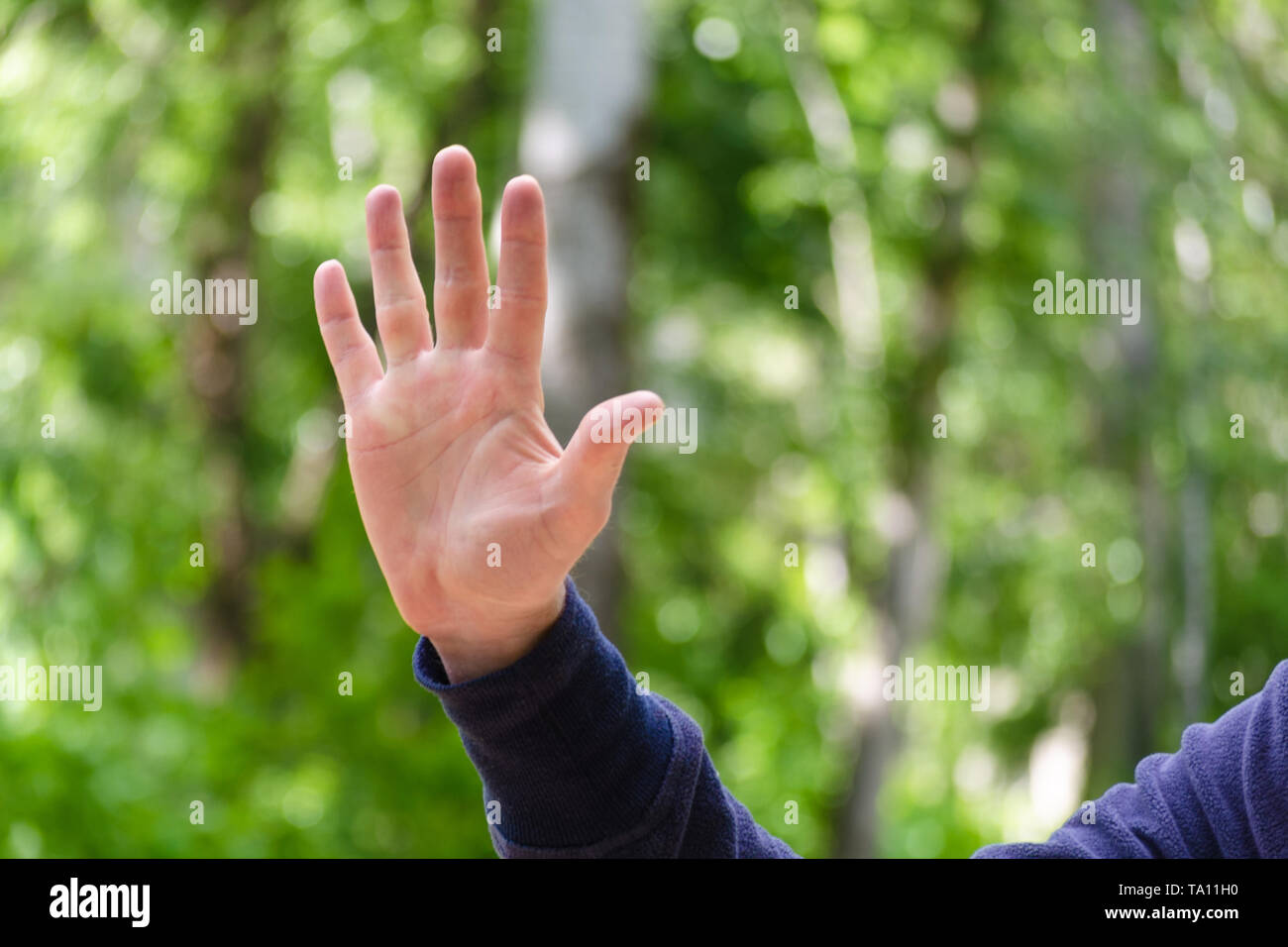 Open palm with spread fingers hand sign. Gesture mens hand of number or gives five. Concept of greeting, openness. Close Up view on green nature backg Stock Photo