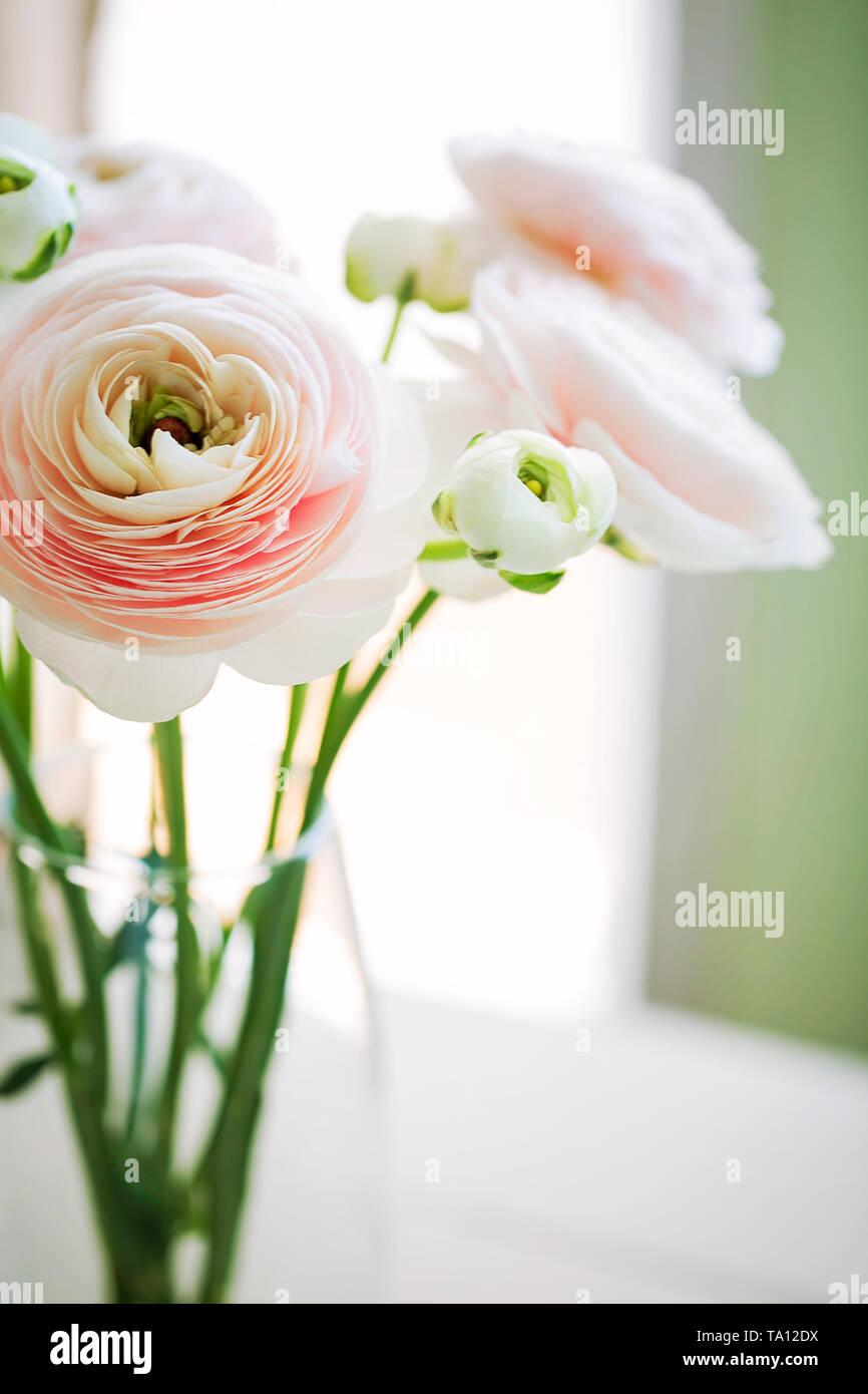 Buttercup bouquet hi-res stock photography and images - Alamy