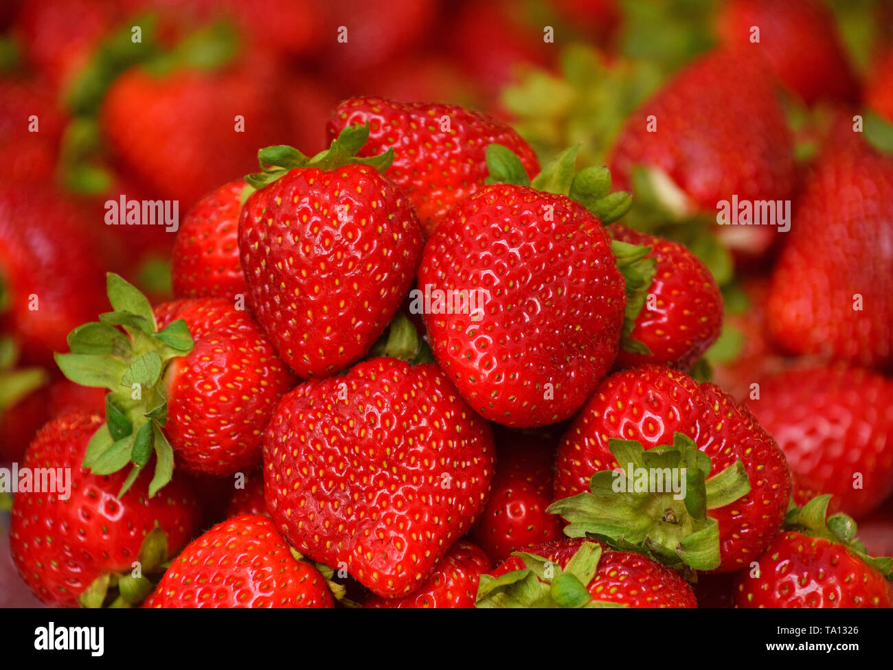 Fresh red strawberry berries hi-res stock photography and images - Alamy