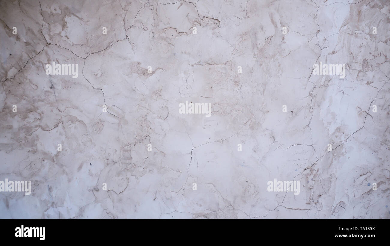 White grunge structural plaster texture background Gray white rough abstract stucco texture for background Stock Photo