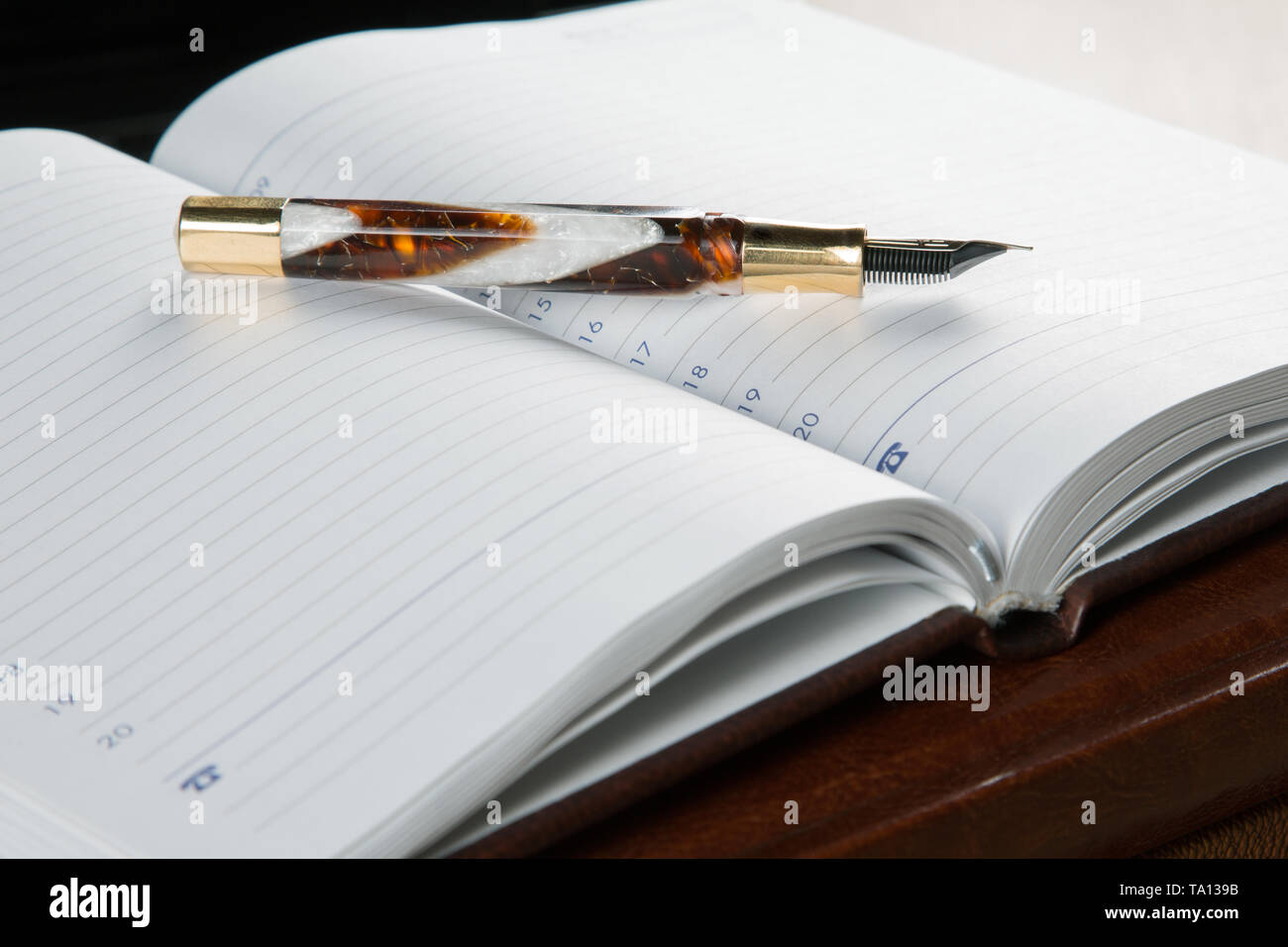 business still-life with fountain pen and organizer Stock Photo - Alamy