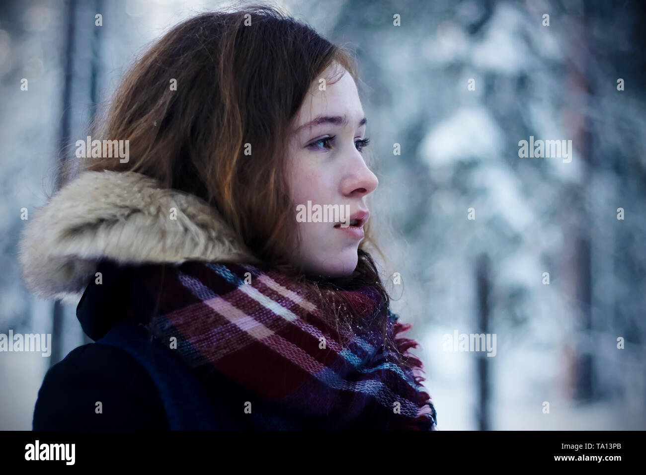 A beautiful pale girl with a blush on her cheeks from the frost stands in the winter cold weather in the forest. Stock Photo