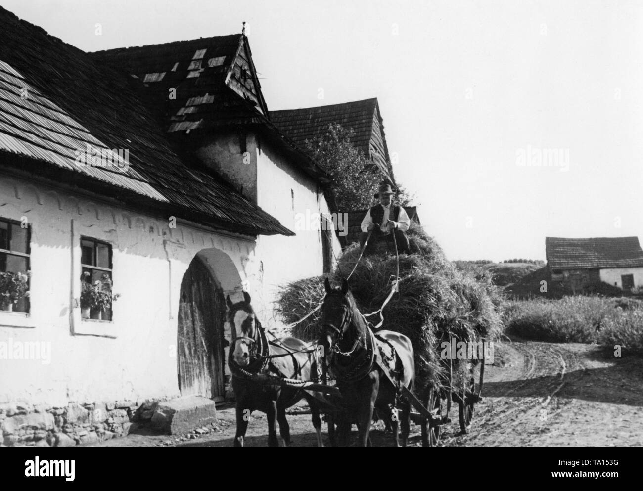 A farmer drives a horse-drawn carriage through a village in the Slovak region of Spis. The scene is from the Tobis documentary 'Zips'. In March 1939, the Slovak State became independent on the command of Adolf Hitler. Stock Photo
