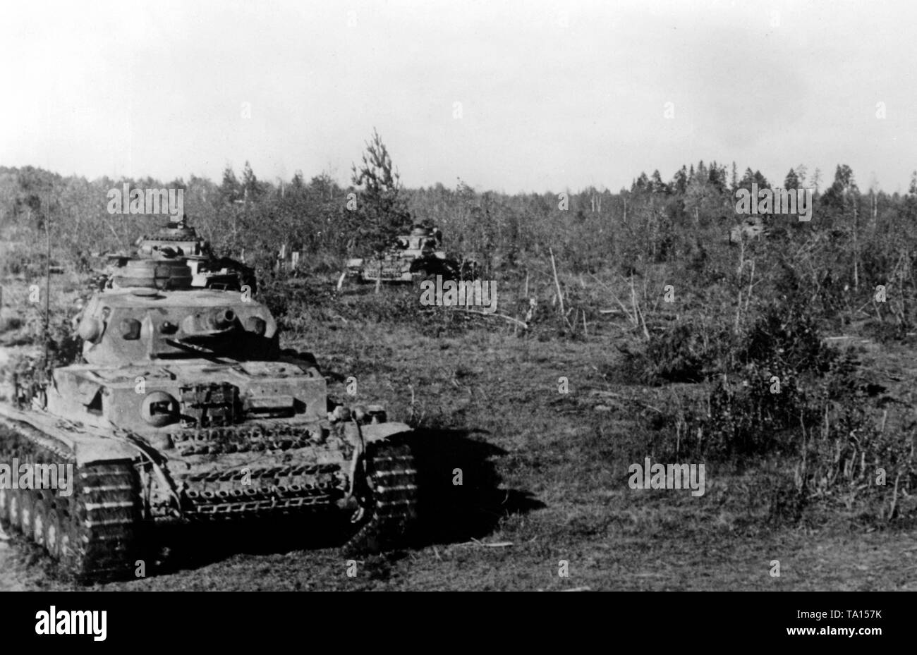 Several Panzers IV drive through a field south of Lake Ilmen at the northern sector of the Eastern Front.  Presumably, they belong to an SS-unit. Photo of the Propaganda Company (PK): SS war correspondent Koerbisser. Stock Photo