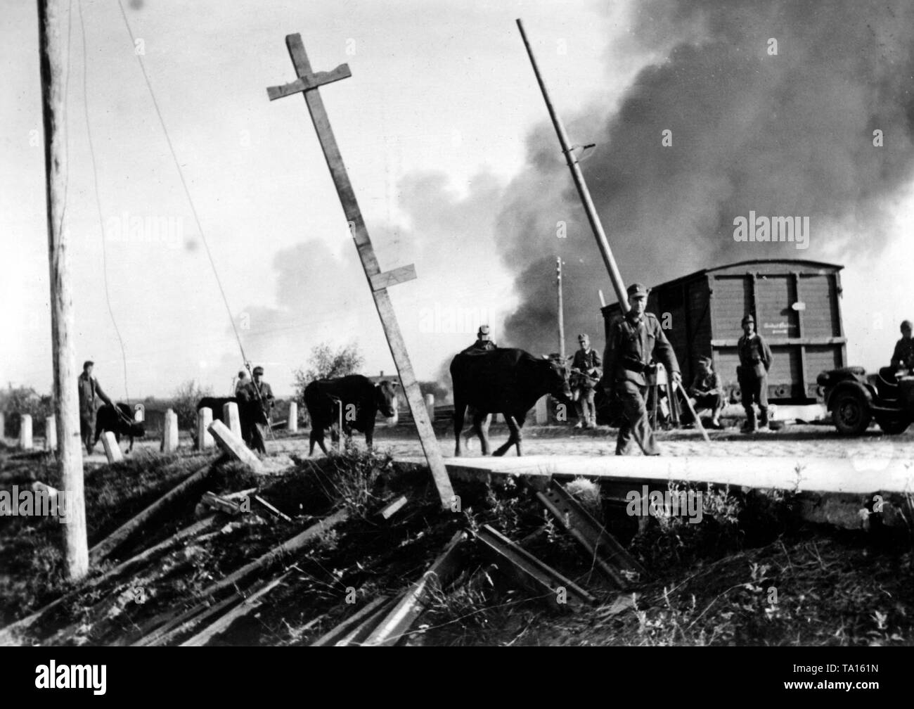 German soldiers drive cattle along a street in Latvia. Smoke rises in the background, probably from a ruined village. Photo of the Propaganda Company (PK): war correspondent Schroeter. Stock Photo