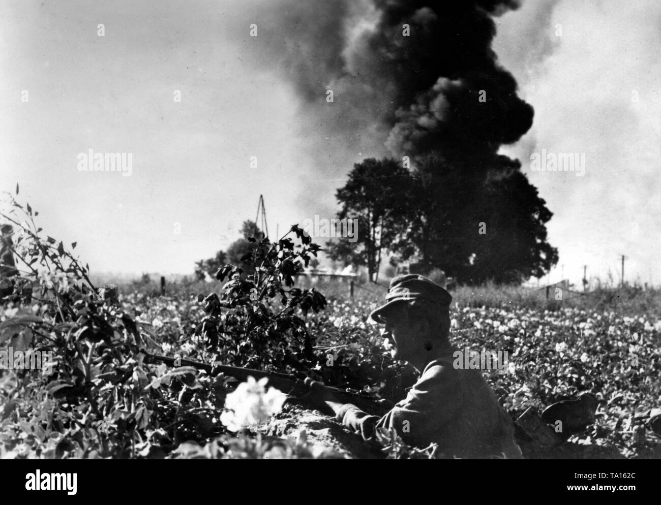 A German soldier seeks cover from the Soviet artillery fire in a field. In the background, smoke rises from the hitting grenades. The Operation Bagration leads to the collapse of Army Group Center. Stock Photo