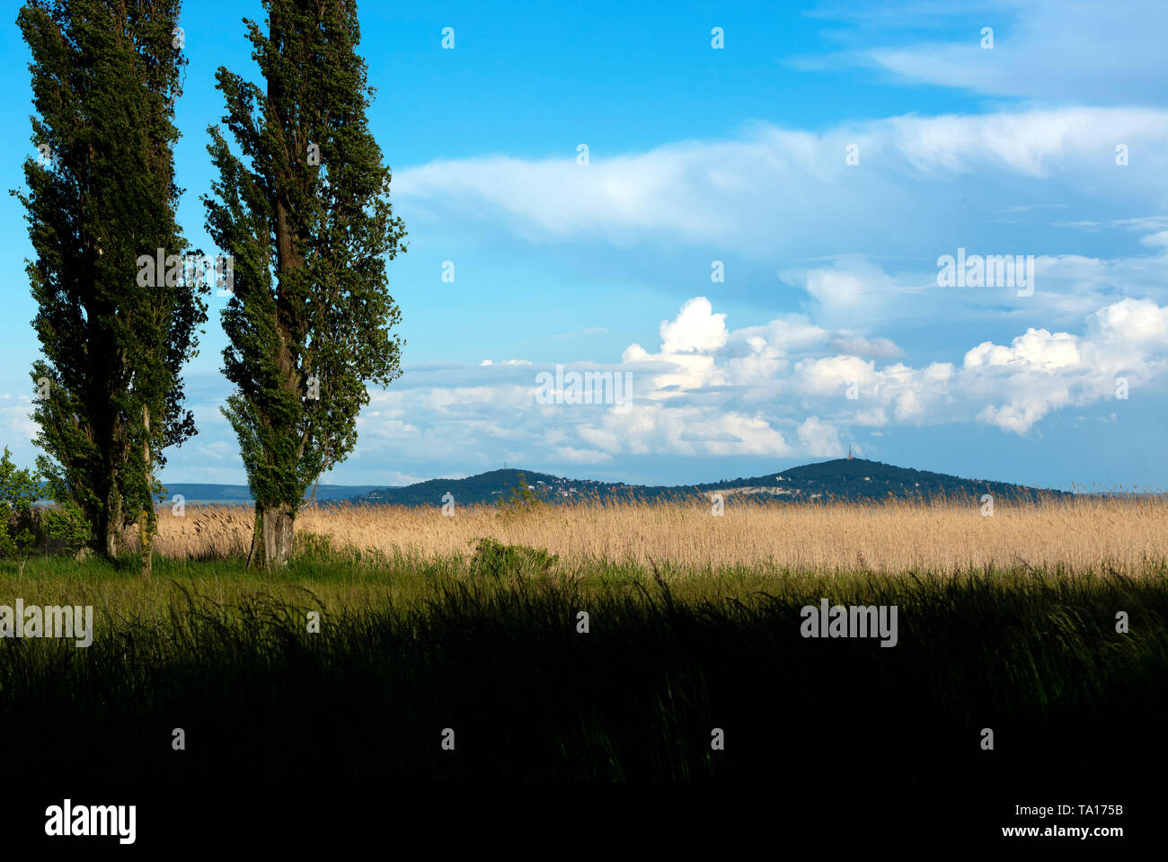 Landscape of Lake Balaton, Hungary ( Szigliget ) Stock Photo