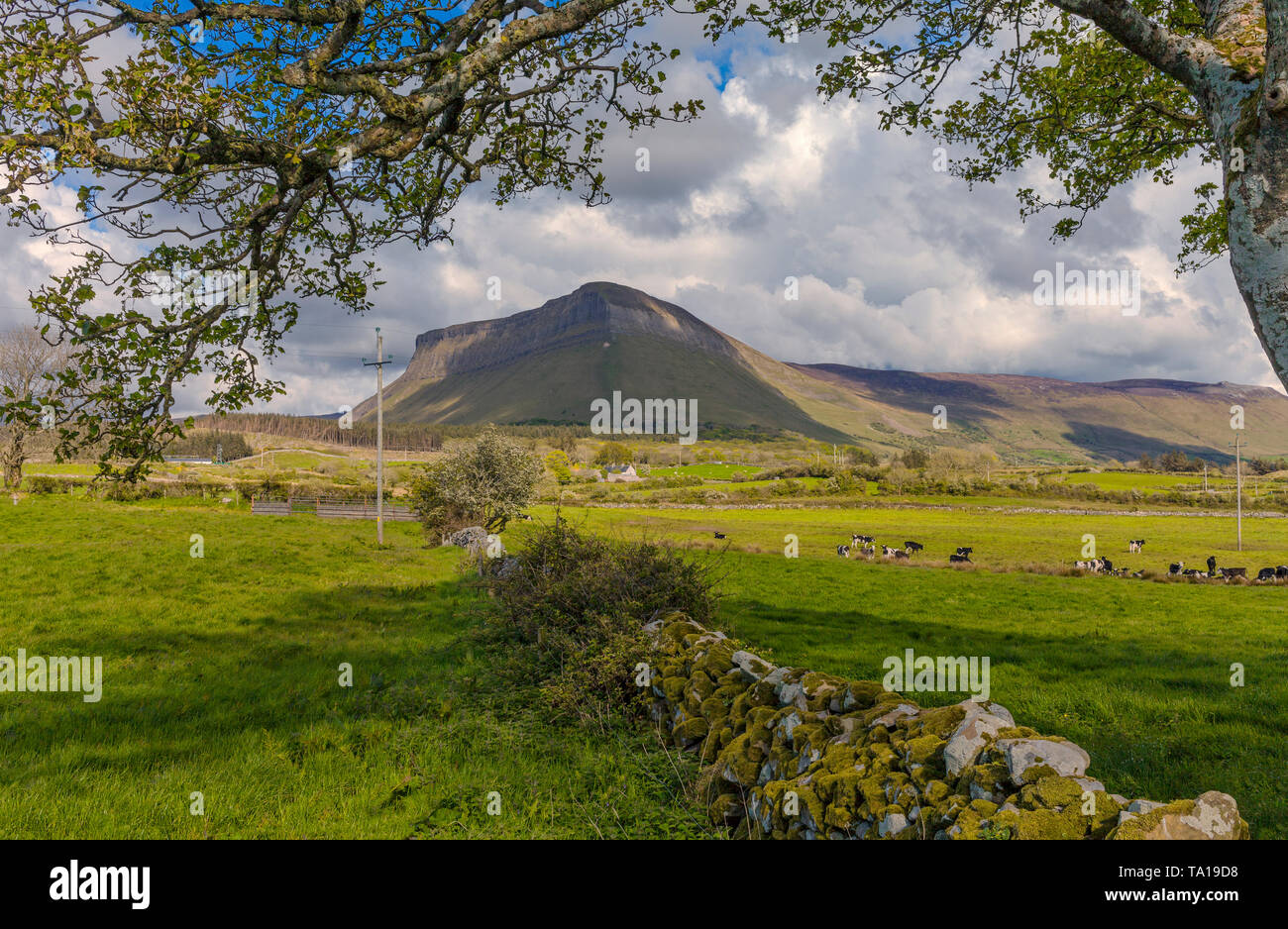 The west face of Benbulben Mountain, Part of the Dartry Mountains, County Sligo, Ireland Stock Photo