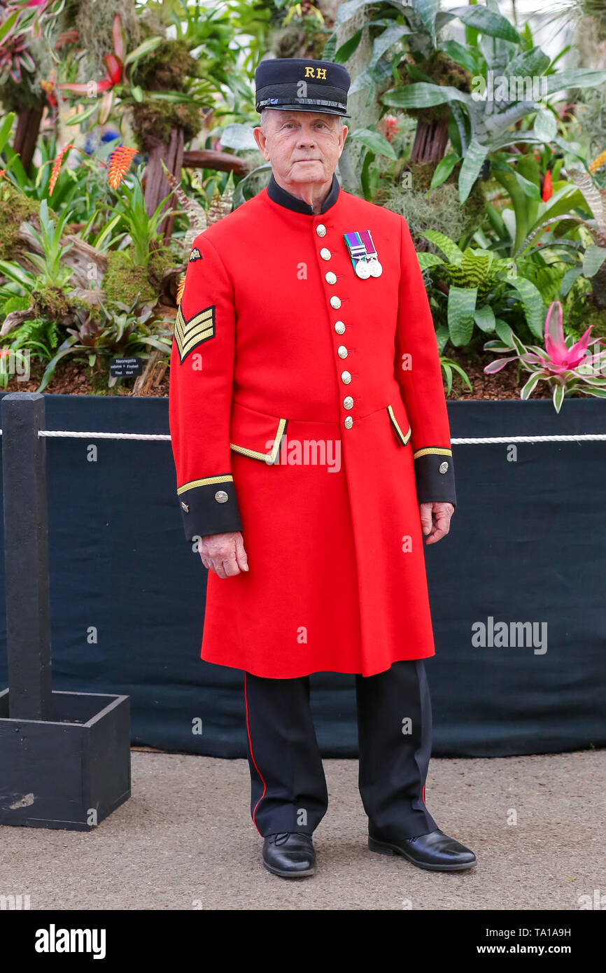 A Chelsea Pensioner seen during the Chelsea Flower Show. The Royal Horticultural Society Chelsea Flower Show is an annual garden show over five days in the grounds of the Royal Hospital Chelsea in West London. The show is open to the public from 21 May until 25 May 2019. Stock Photo