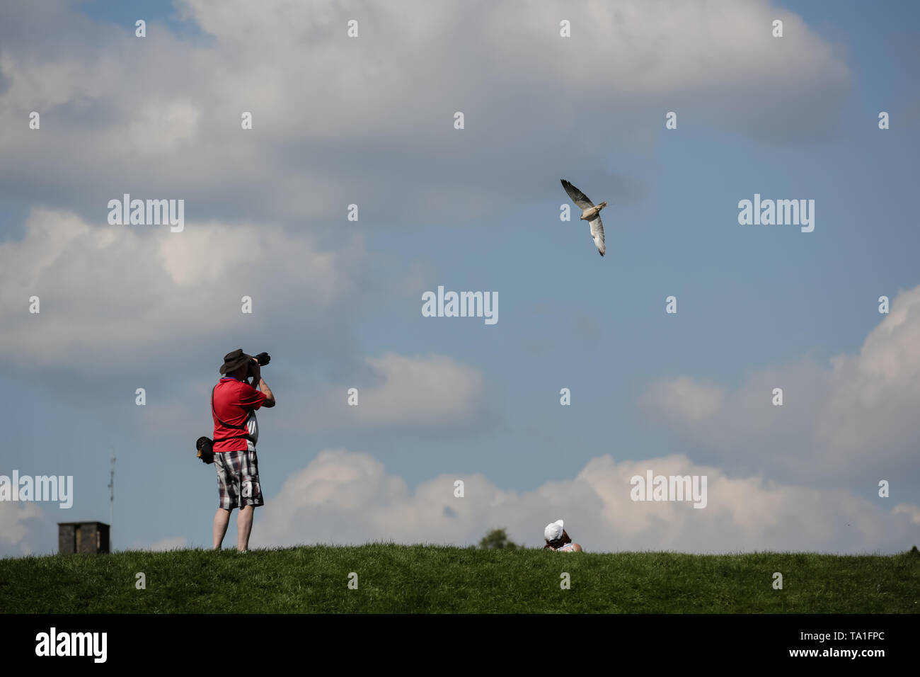 whipsnade-zoo-uk-21st-may-2019-photographer-capturing-birds-in-flight-on-a-sunny-afternoon-at-zsl-whipsnade-zoo-credit-chris-aubreyalamy-live-news-TA1FPC.jpg