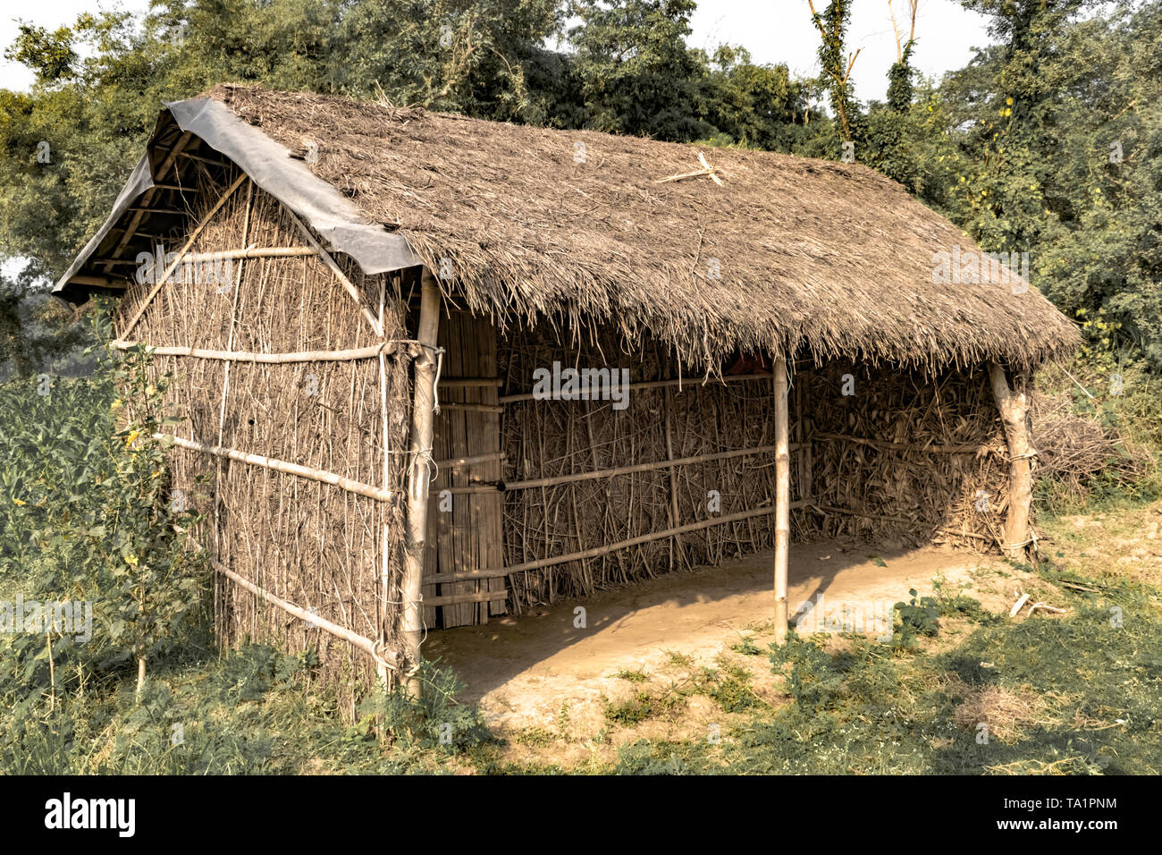 Tribal Hut having thatched roof, made of Bamboo Straws & sticks, are common in Tribal areas and are temporary and regulate temperature in natural way. Stock Photo