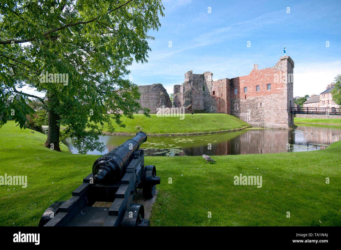 Castle with Moat and Cannon, Rothesay, Bute Stock Photo