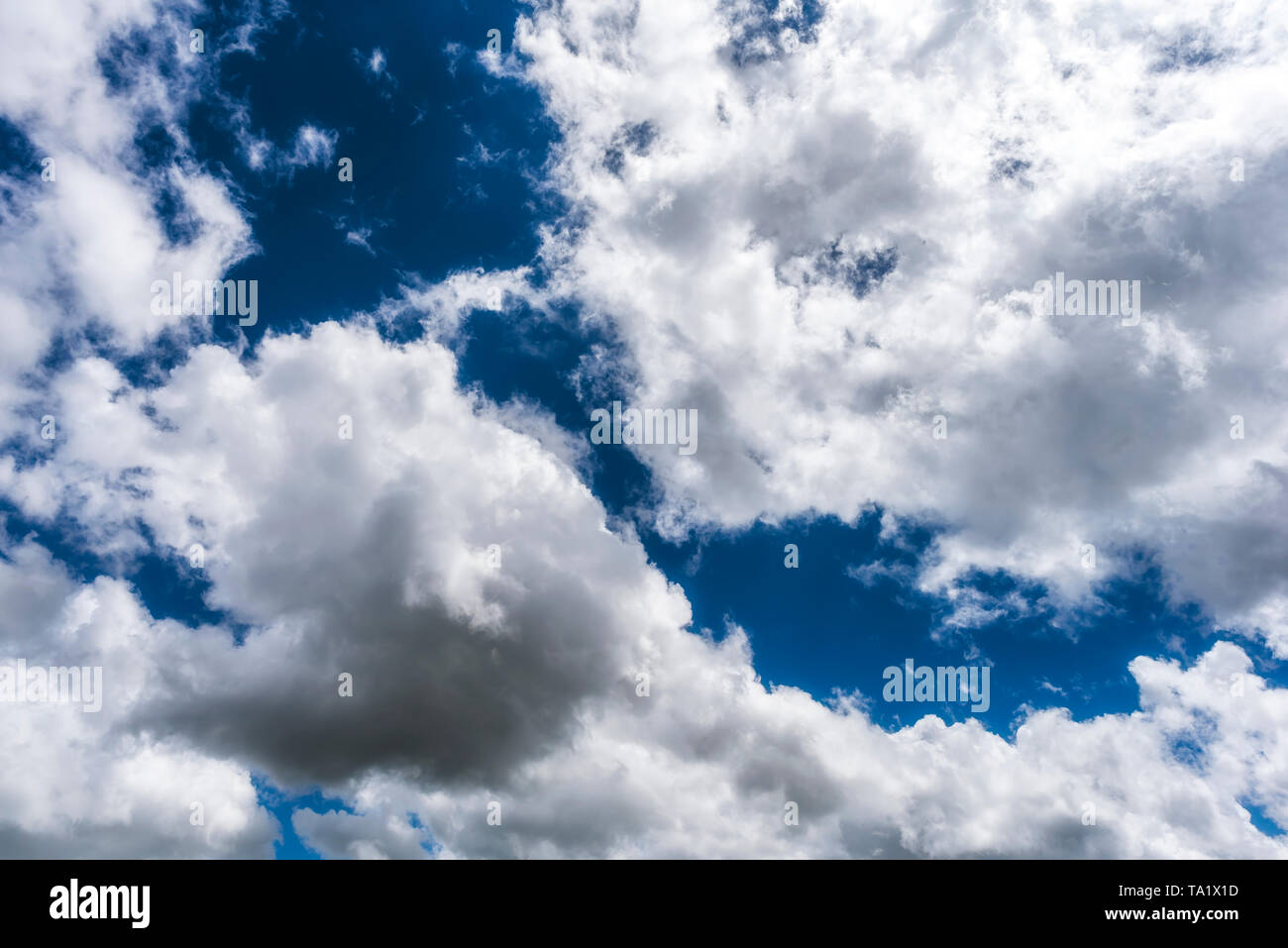 Blue sky with white puffy clouds Stock Photo - Alamy