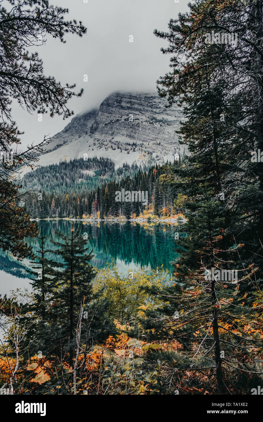 Reflections of pine trees off Swift Current Lake in Glacier National Park, Montana, USA in the fall Stock Photo