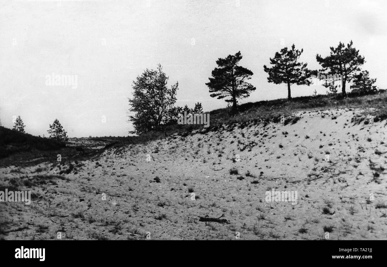 The Dune in Kalevi-Liiva served as the execution and burial site for trainloads of Central European Jews transported to Estonia for extermination. Other victims include Gypsies and political prisoners of mainly Estonian and Russian origin. The mass execution were carried out by Estonian Nazi collaborators under German supervision. Stock Photo