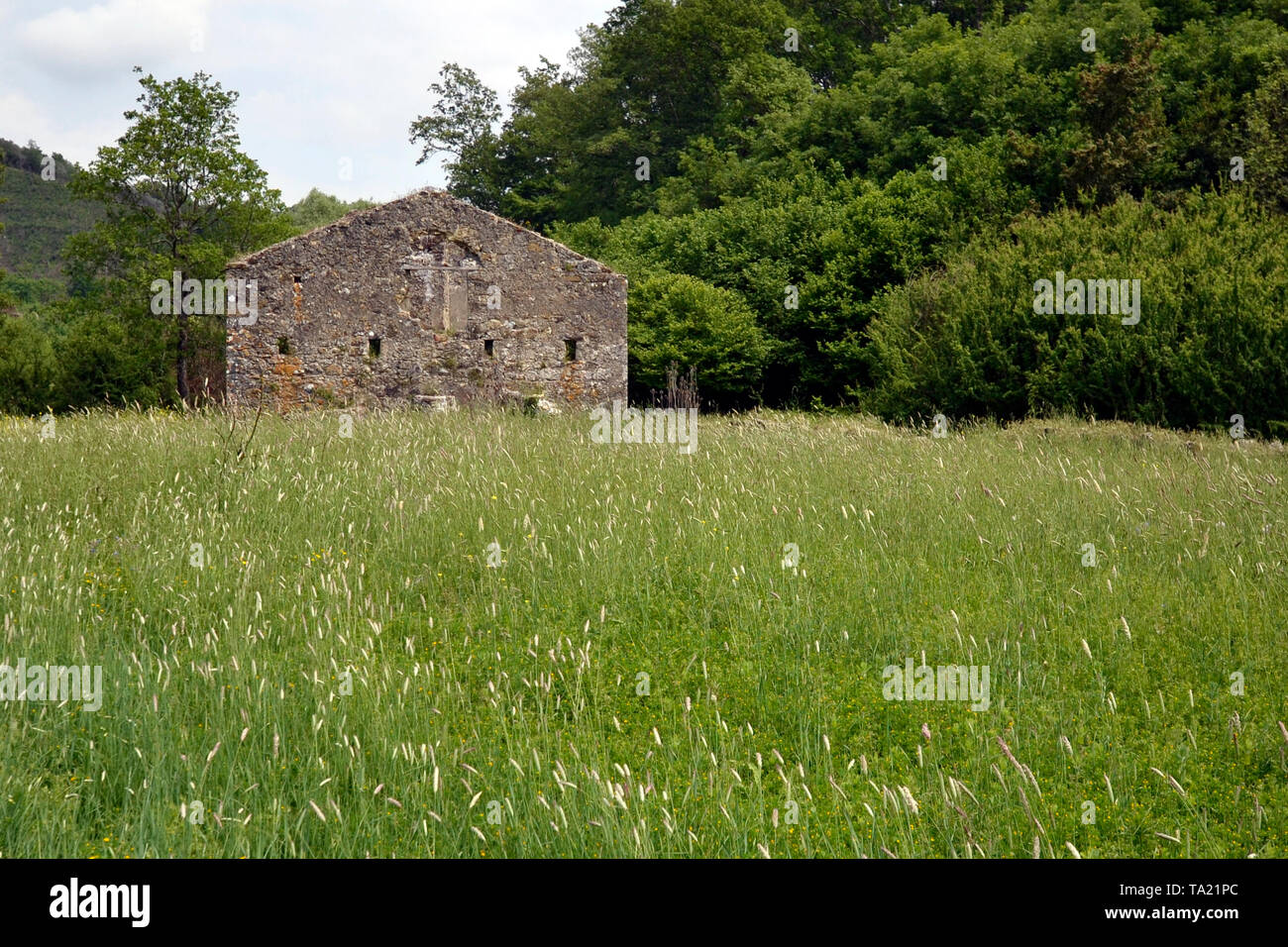 Ancient mill in the countryside, Italy Stock Photo